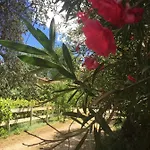 Mas D'auzieres 住宿加早餐酒店 圣吉尔
