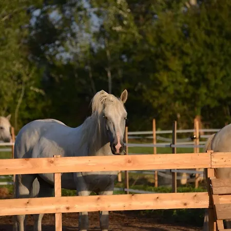 Mas D'auzieres فندق مبيت وإفطار 3*