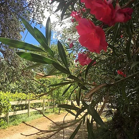 فندق مبيت وإفطار Mas D'auzieres سان جيل