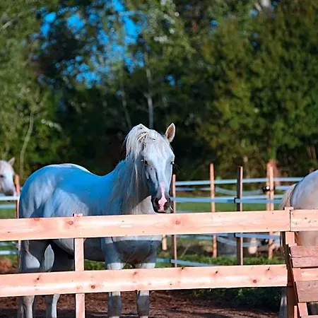 فندق مبيت وإفطار Mas D'auzieres سان جيل